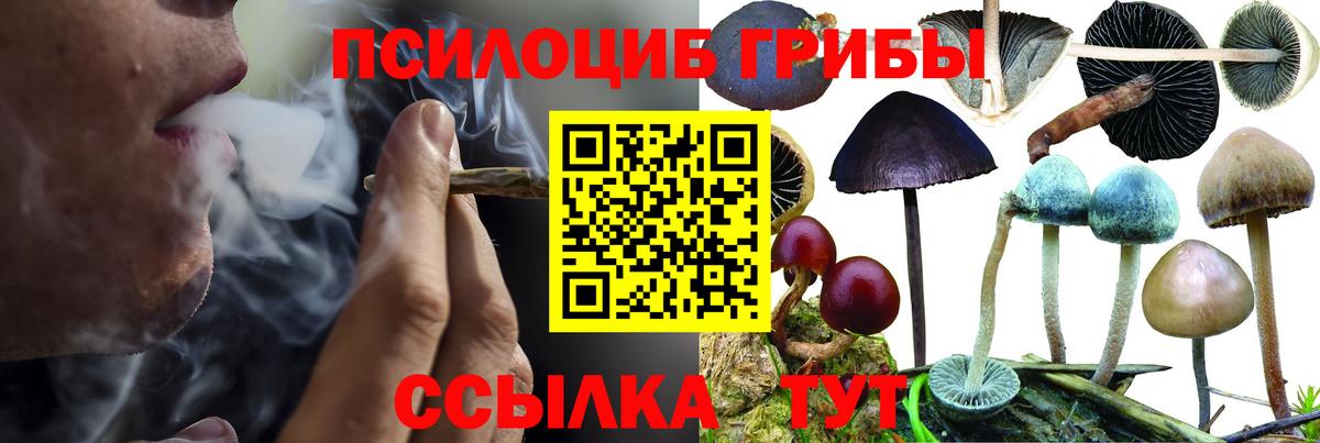 Псилоцибиновые грибы MAGIC MUSHROOMS  наркошоп  Полысаево  Вход с VPN 